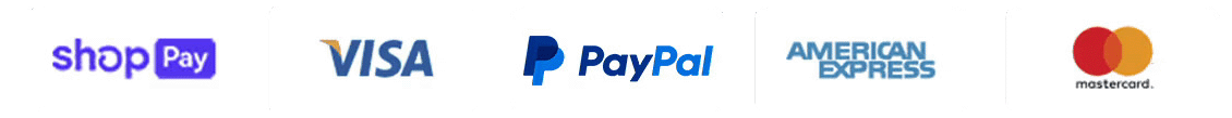 Payment methods: Shop Pay, Visa, PayPal, American Express, Mastercard